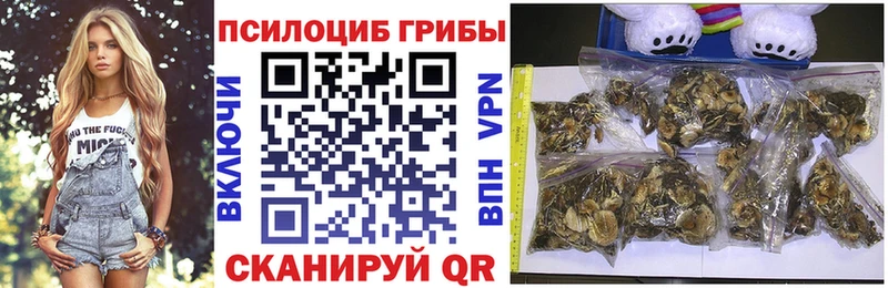 Псилоцибиновые грибы Cubensis Советская Гавань