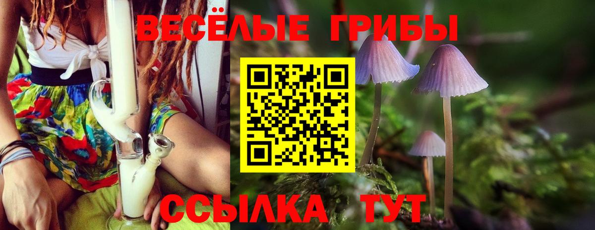 Галлюциногенные грибы MAGIC MUSHROOMS  Вход с VPN  Советская Гавань 