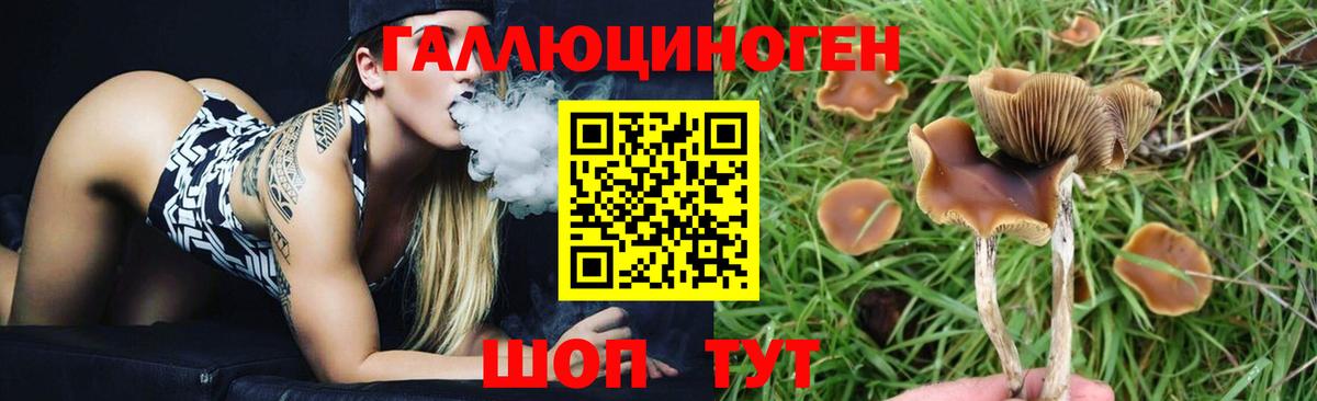 Галлюциногенные грибы мухоморы Советская Гавань
